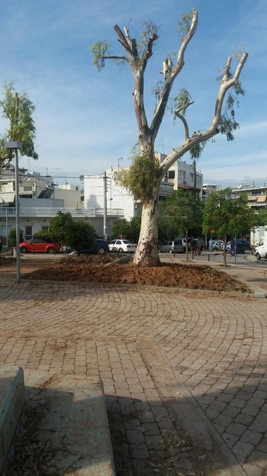 Η πλατεία Παναγούλη «πρασινίζει»