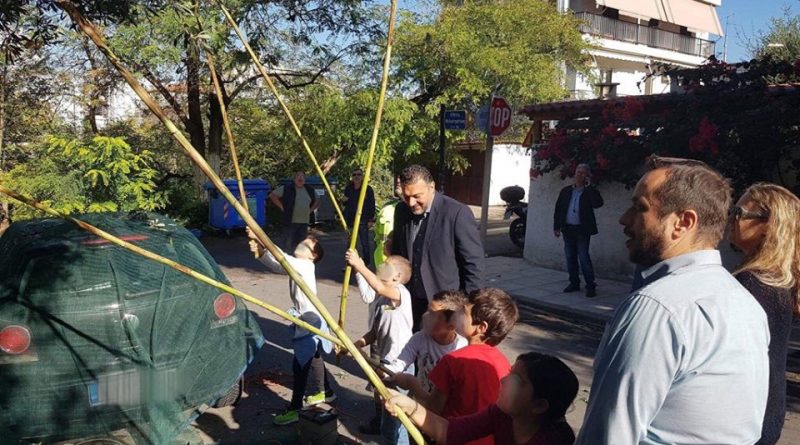 Μαθητές μαζεύουν τις ελιές στο Παλαιό Φάληρο