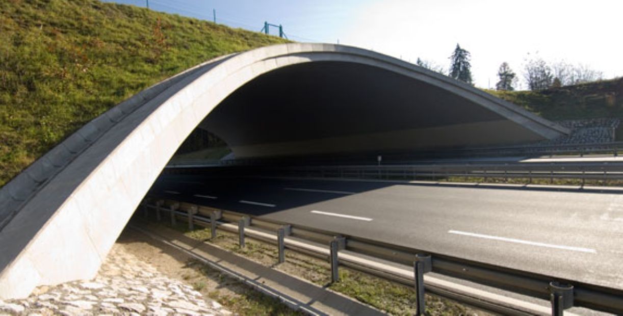 &Omicron; &Omicron;&delta;&iota;&kappa;ό&sigmaf; &chi;ά&rho;&tau;&eta;&sigmaf; &gamma;&iota;&alpha; &tau;&eta; &nu;έ&alpha; &upsilon;&pi;ό&gamma;&epsilon;&iota;&alpha; &alpha;&rho;&tau;&eta;&rho;ί&alpha;: &Pi;&omicron;ύ &beta;&rho;ί&sigma;&kappa;&epsilon;&tau;&alpha;&iota; &tau;&omicron; έ&rho;&gamma;&omicron; &kappa;&alpha;&iota; &tau;&iota; &zeta;&eta;&tau;&omicron;ύ&nu; &omicron;&iota; &delta;ή&mu;&omicron;&iota;