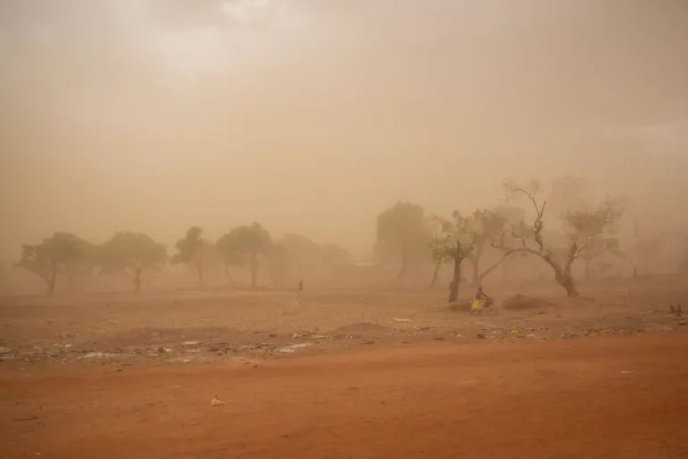 &Nu;έ&omicron; &kappa;ύ&mu;&alpha; &alpha;&phi;&rho;&iota;&kappa;&alpha;&nu;&iota;&kappa;ή&sigmaf; &sigma;&kappa;ό&nu;&eta;&sigmaf; &sigma;&kappa;&epsilon;&pi;ά&zeta;&epsilon;&iota; &tau;&eta; &chi;ώ&rho;&alpha; &ndash; &Pi;ό&tau;&epsilon; &kappa;&omicron;&rho;&upsilon;&phi;ώ&nu;&epsilon;&tau;&alpha;&iota;, &tau;&iota; &nu;&alpha; &pi;&epsilon;&rho;&iota;&mu;έ&nu;&omicron;&upsilon;&mu;&epsilon;