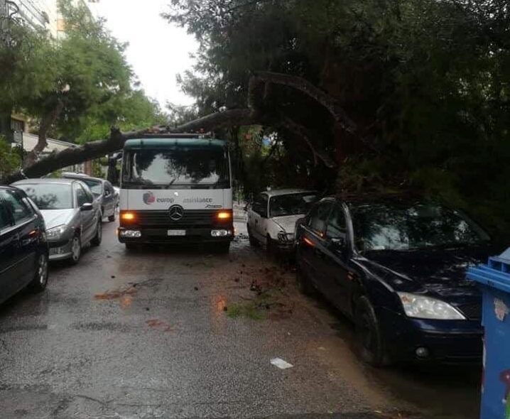 Ά&lambda;&iota;&mu;&omicron;&sigmaf;: &Delta;έ&nu;&tau;&rho;&omicron; έ&pi;&epsilon;&sigma;&epsilon; &sigma;&epsilon; &delta;&iota;&epsilon;&rho;&chi;ό&mu;&epsilon;&nu;&omicron; ό&chi;&eta;&mu;&alpha; &tau;&eta;&sigmaf; &omicron;&delta;&iota;&kappa;ή&sigmaf; &beta;&omicron;ή&theta;&epsilon;&iota;&alpha;&sigmaf;