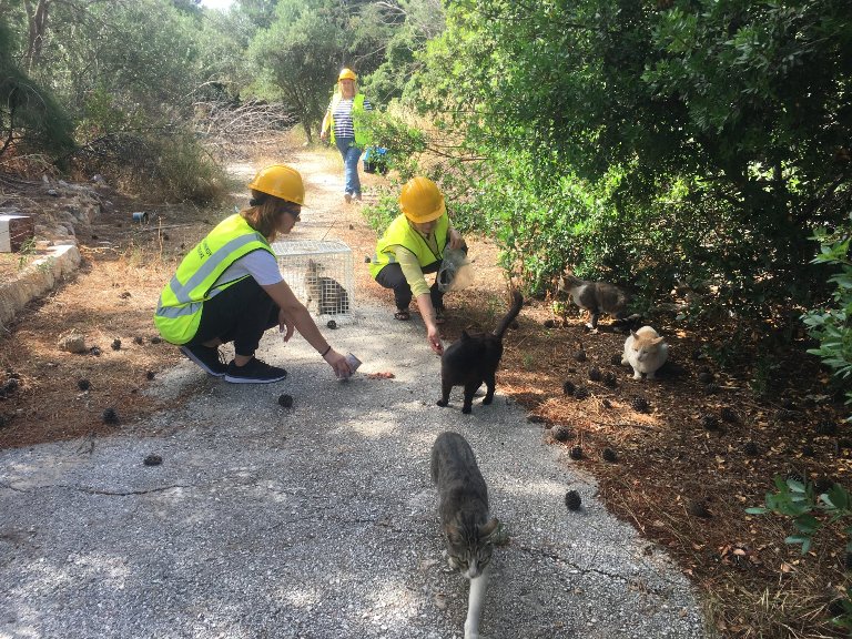 &Xi;&epsilon;&kappa;ί&nu;&eta;&sigma;&epsilon; &eta; &alpha;&pi;&omicron;&mu;ά&kappa;&rho;&upsilon;&nu;&sigma;&eta; &tau;&omega;&nu; &alpha;&delta;έ&sigma;&pi;&omicron;&tau;&omega;&nu; &alpha;&pi;ό &tau;&omicron;&nu; &chi;ώ&rho;&omicron; &tau;&omicron;&upsilon; &pi;&rho;ώ&eta;&nu; &alpha;&epsilon;&rho;&omicron;&delta;&rho;&omicron;&mu;ί&omicron;&upsilon;